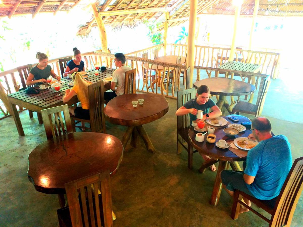 Elephant Paradise Safari Bungalow 达瓦拉维 外观 照片