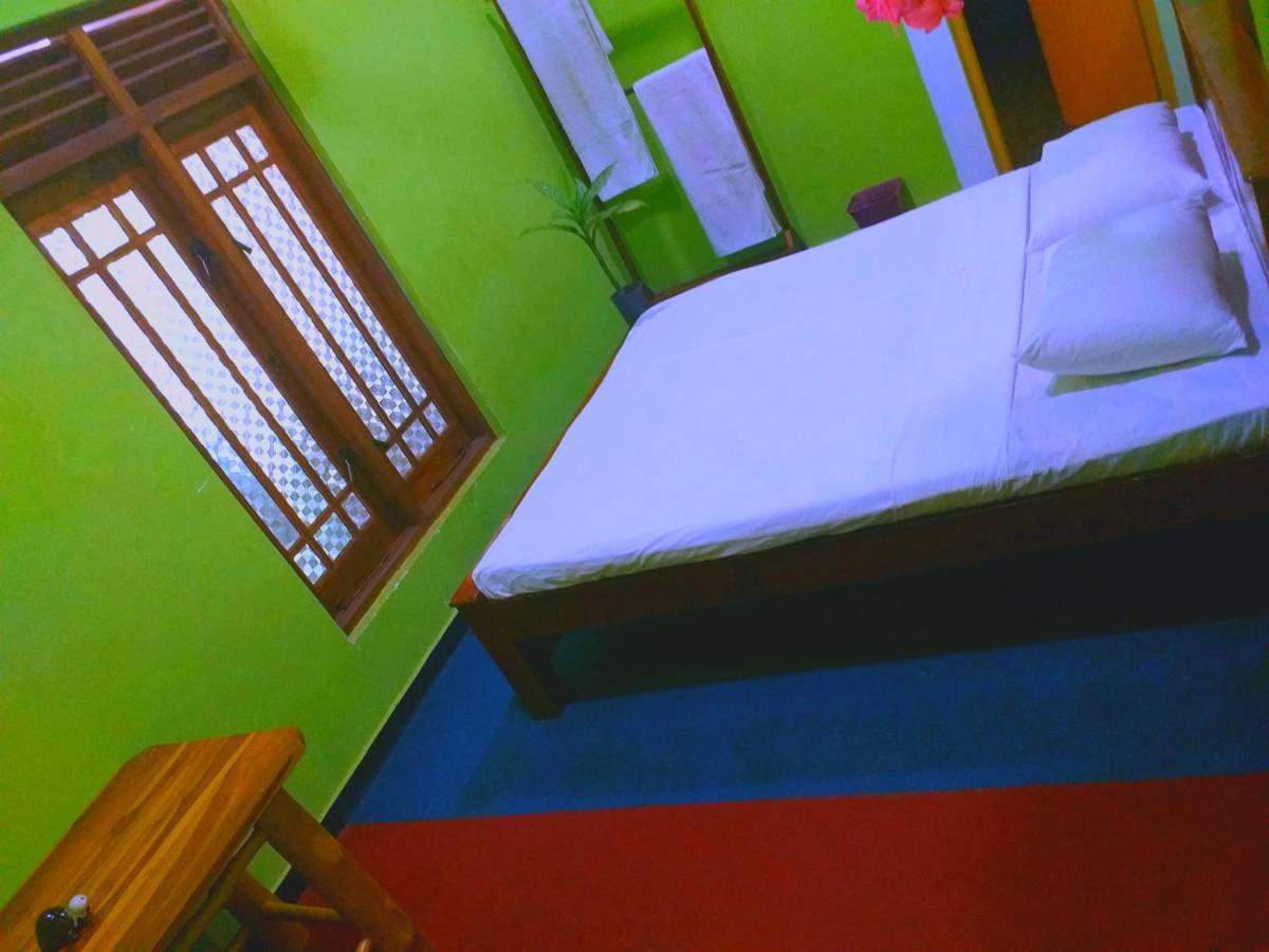 Elephant Paradise Safari Bungalow 达瓦拉维 外观 照片
