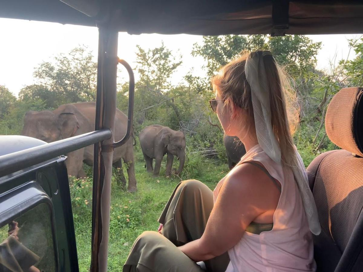 Elephant Paradise Safari Bungalow 达瓦拉维 外观 照片